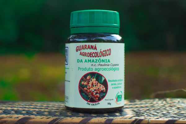 Grains de Guarana d’Amazonie